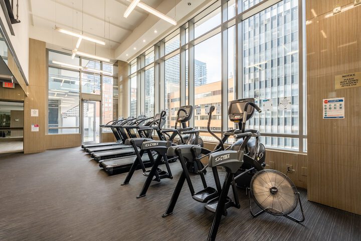Health and Fitness 234 of 242