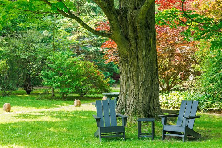 Hotel Exterior 50 of 60