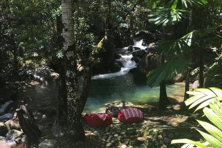 Daintree Secrets Rainforest Sanctuary