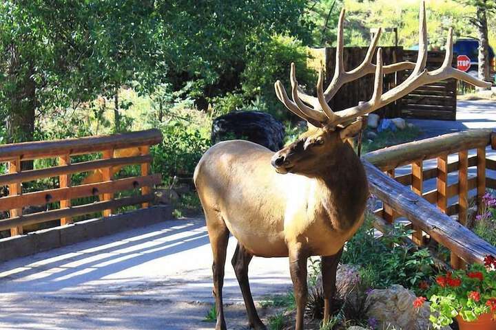 Property Grounds 165 of 183