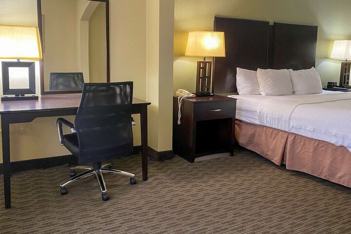 1 King Bed Suite (22 of 25)