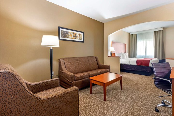 1 King Bed Suite (16 of 44)