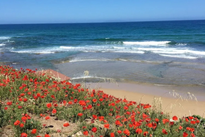 Beach 8 of 11