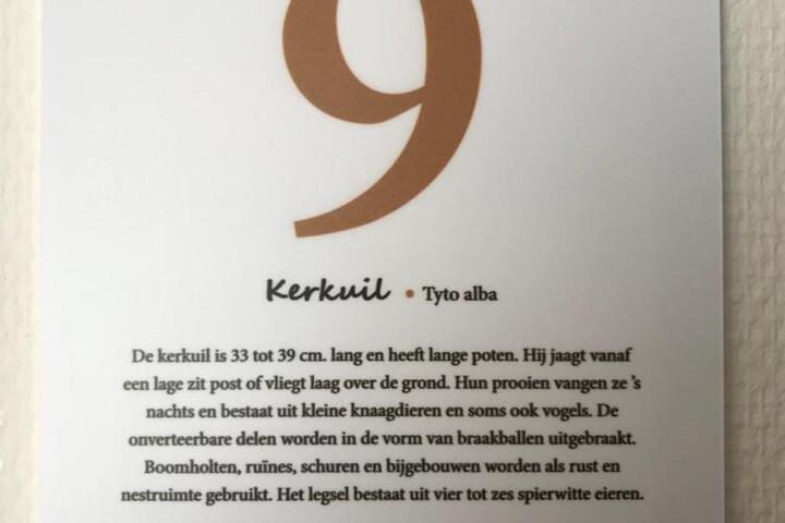 General 40 of 96