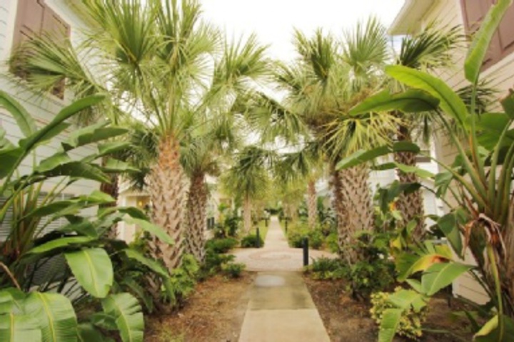 Hotel Exterior 11 of 323