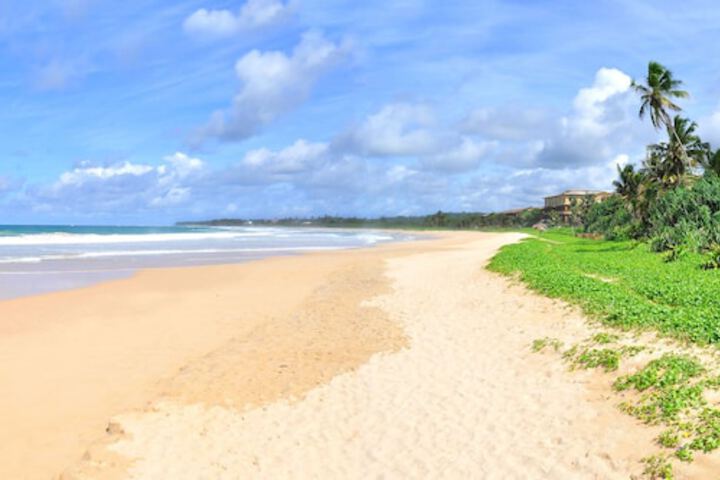 Beach 51 of 59
