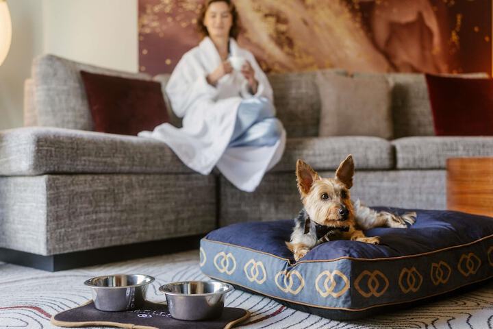 Pet Friendly 68 of 164