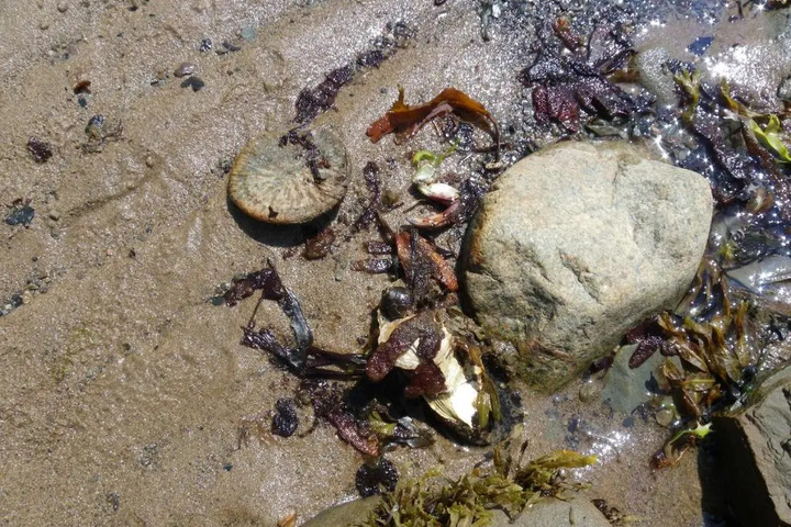 Beach 8 of 12