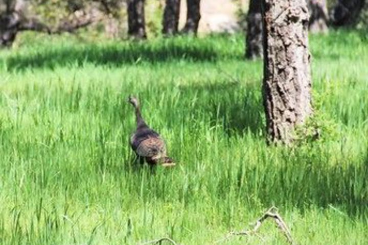 Property Grounds 64 of 75