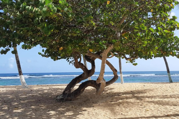 Beach 16 of 21