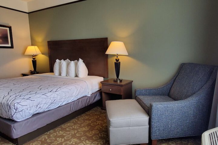 1 King Bed (12 of 13)