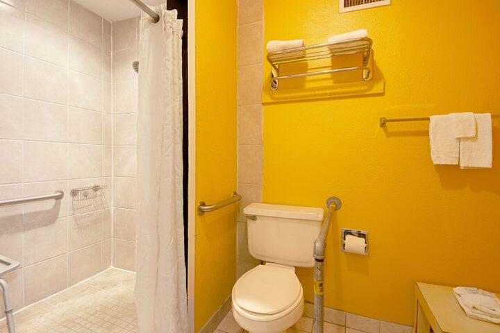 1 King Bed Accessible (8 of 14)
