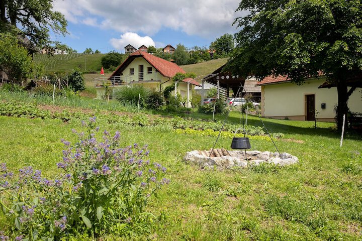 Apartment at the Vesel Homestead, Local Experience in Trebnje