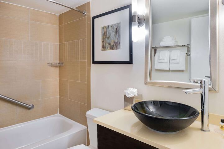 1 Double Bed Mobility Accessible Bathtub with Grab Bars (7 of 14)