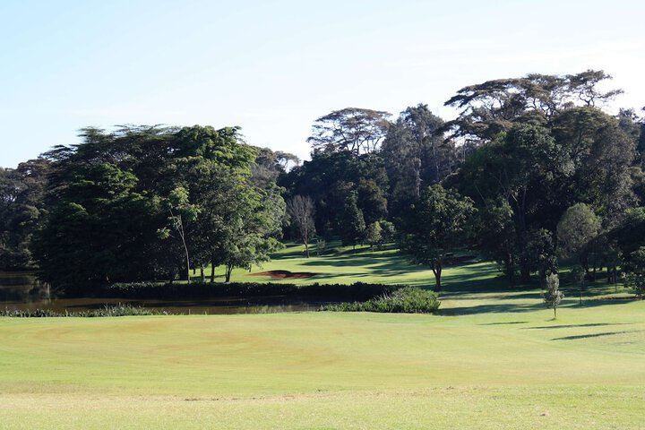 Golf 45 of 98