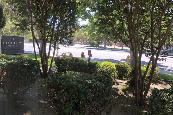 View from property