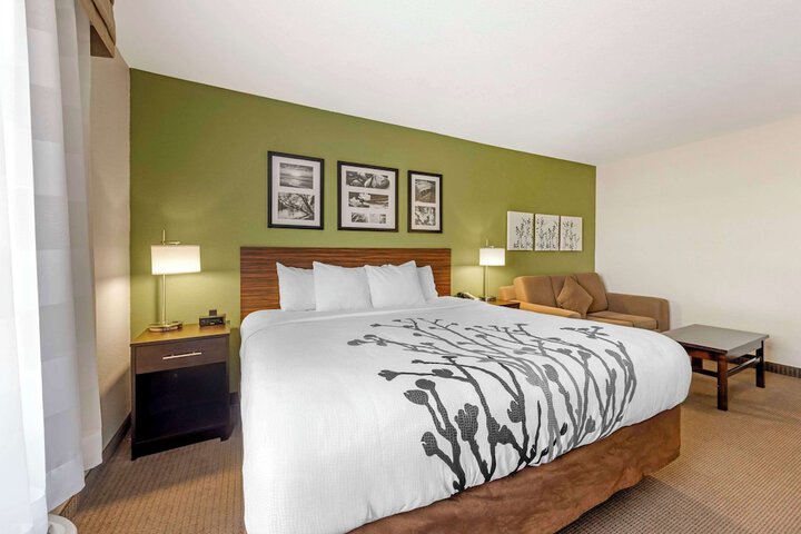 1 King Bed (2 of 38)