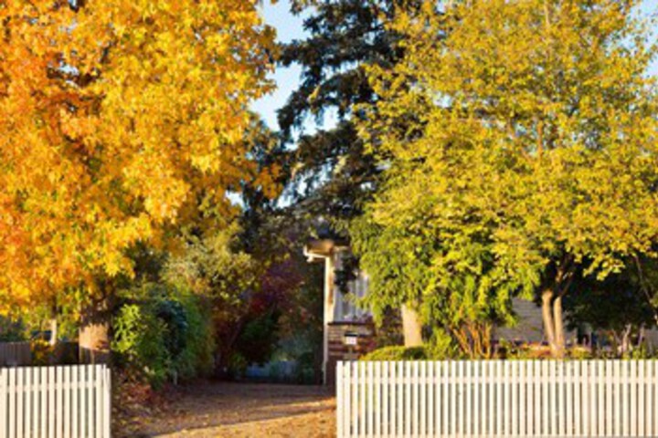 Property Grounds 11 of 16