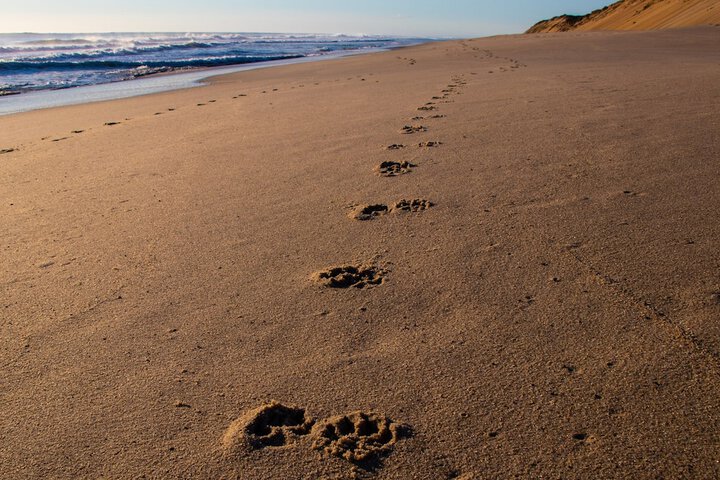 Beach 42 of 64