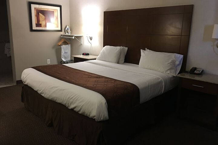 1 King Bed (14 of 25)