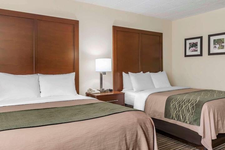 2 Queen Beds (1 of 6)