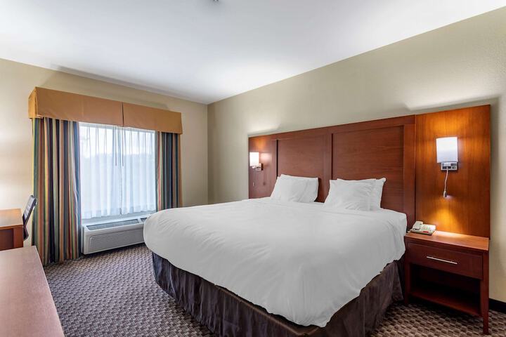 1 King Bed (3 of 19)