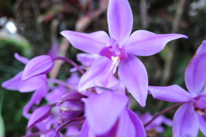 Hotel Exterior 46 of 51