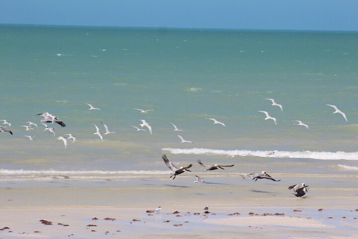 Beach 19 of 37