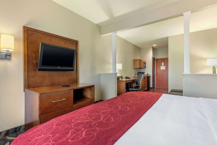 Suite King Bed Accessible (14 of 25)