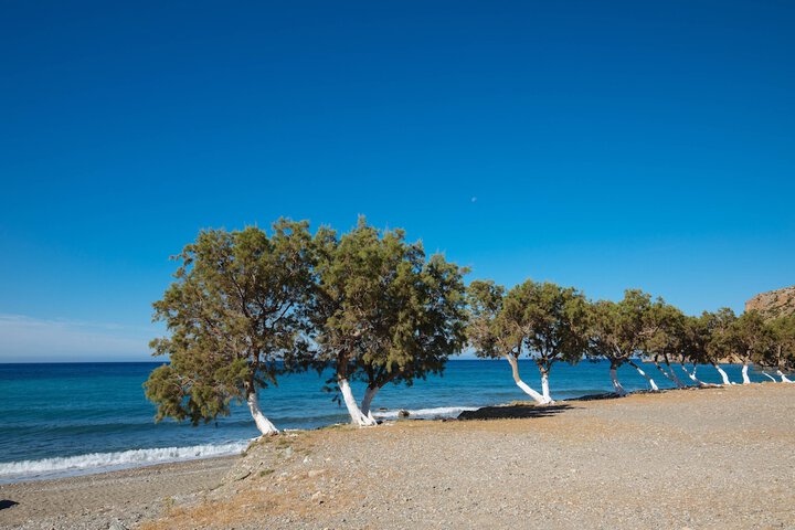 Beach 11 of 27