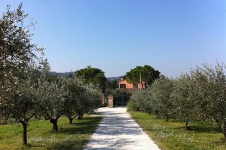 Paradiso in Collina