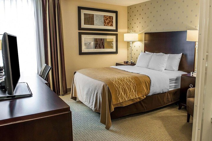 Queen Bed Accessible (8 of 13)