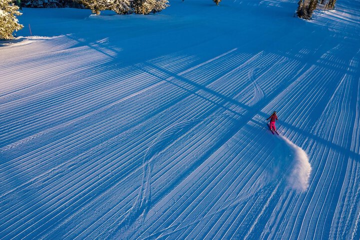Skiing
