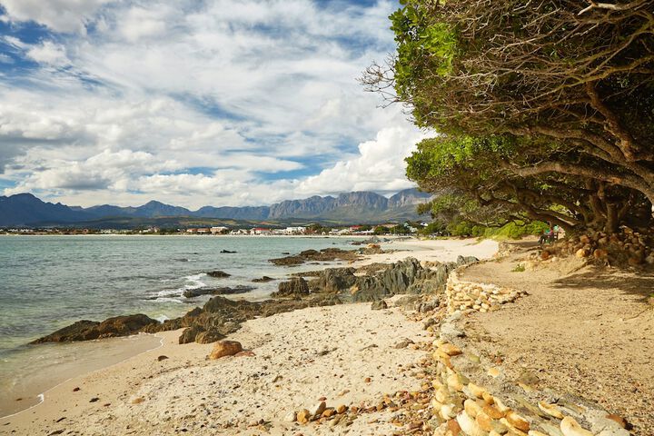 Beach 109 of 115