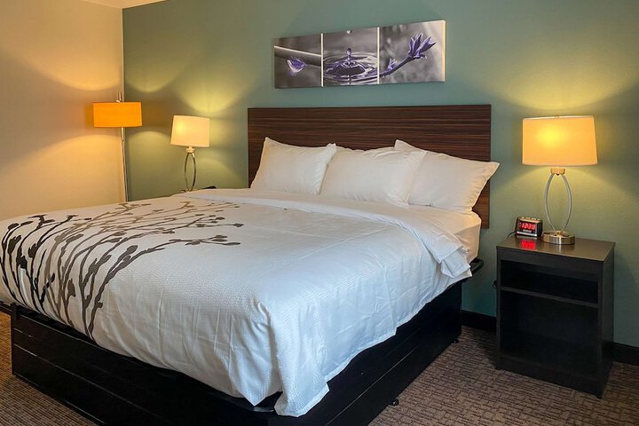1 King Bed (5 of 9)