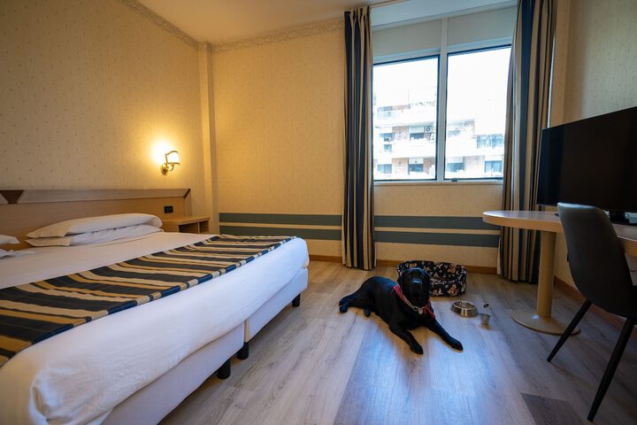 Room 31 of 64
