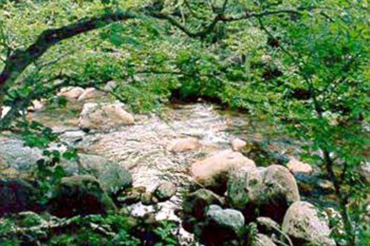 Property Grounds 11 of 12