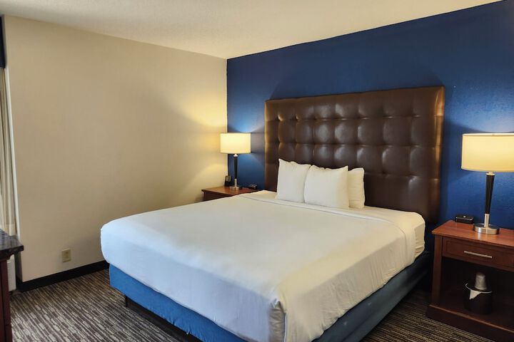 1 King Bed (14 of 33)