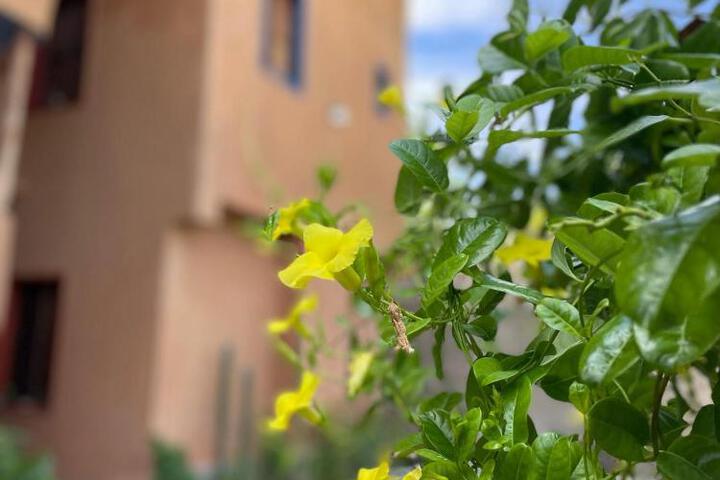 Casa Nirav - Choroni
