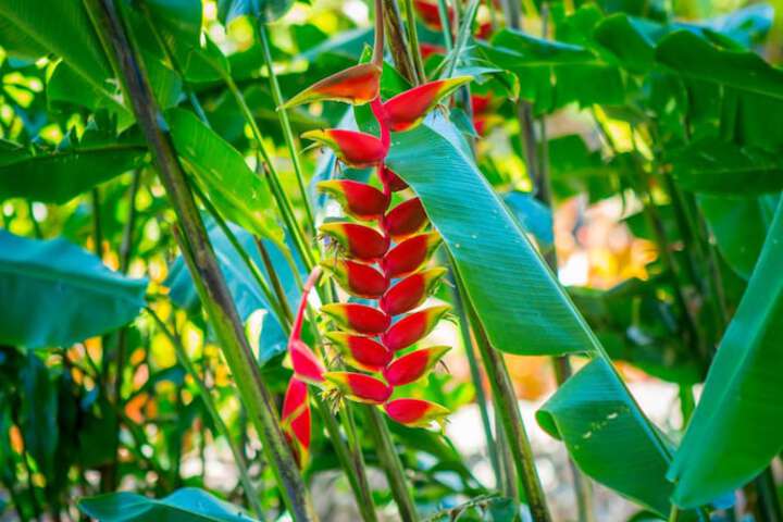 Hotel Exterior 73 of 82