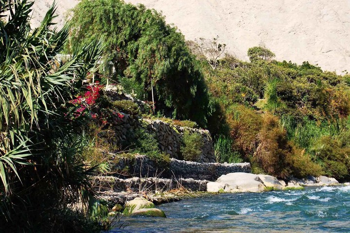 Property Grounds 16 of 21
