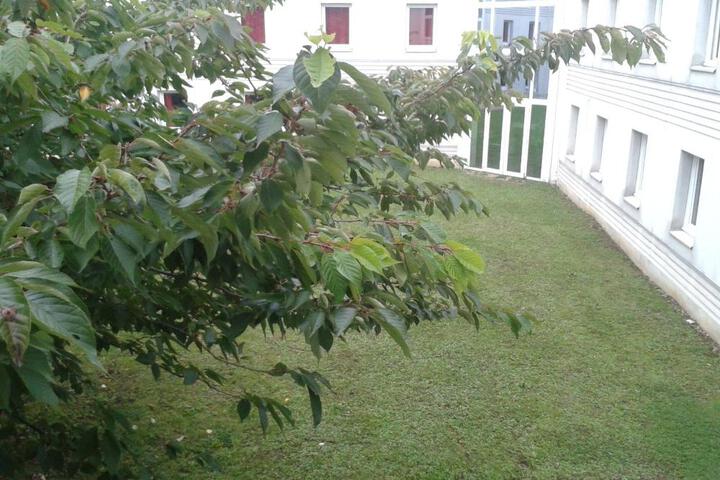 Photo 25