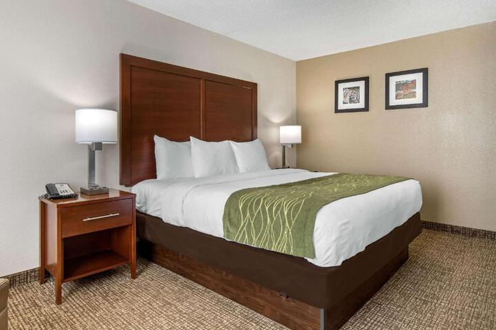 1 King Bed (9 of 14)