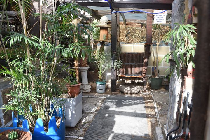 Terrace/Patio 20 of 30