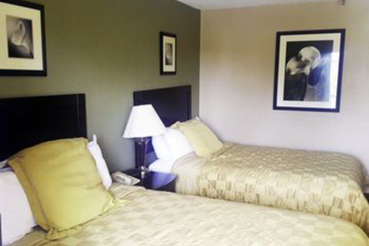 Room View