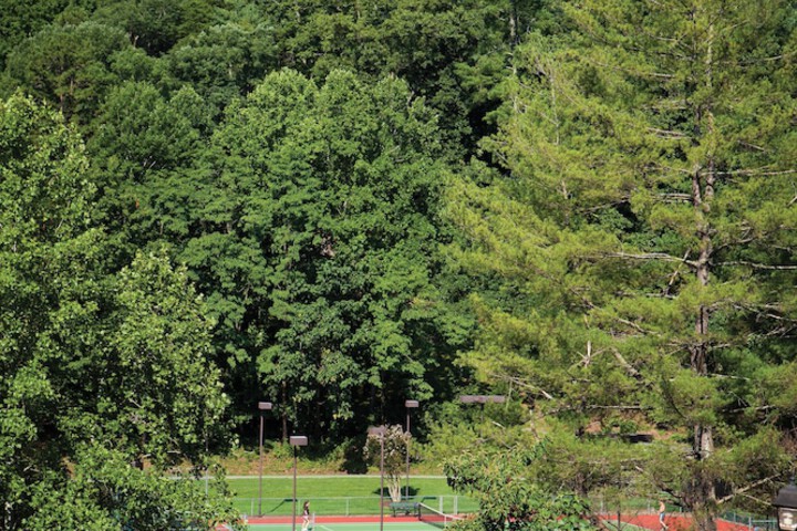 Sport court