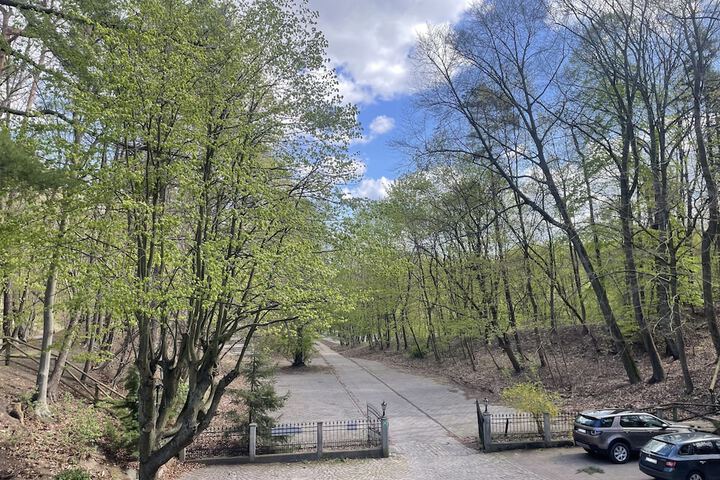 View from room
