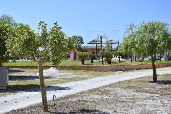 Property Grounds 8 of 14