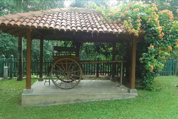 Photo 8
