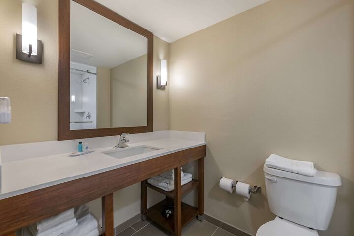 1 King Bed Suite (3 of 11)